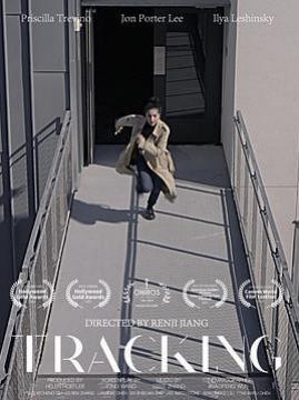 十大爱情电影排行榜之危情迷踪