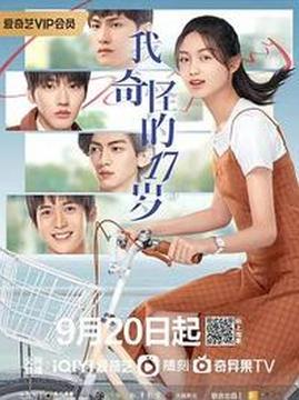 十大爱情电视剧排行榜之我奇怪的17岁3