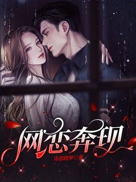 十大游戏小说排行榜之网恋奔现