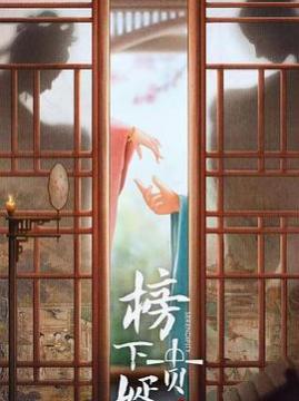 十大电视剧排行榜之榜上佳婿