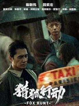 十大犯罪电影排行榜之猎狐行动