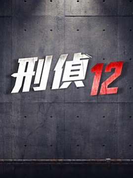十大犯罪电视剧排行榜之刑侦12