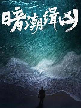 十大犯罪电视剧排行榜之暗潮缉凶