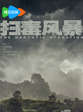 十大犯罪电视剧排行榜之扫毒风暴