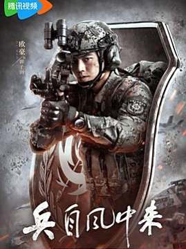 十大动作电视剧排行榜之兵自风中来