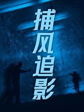 十大中国大陆电影排行榜之捕风追影