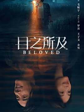 十大悬疑电视剧排行榜之目之所及