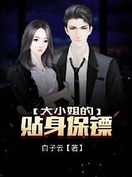 十大都市小说排行榜之大小姐的贴身保镖