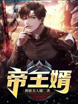 十大都市小说排行榜之帝王婿