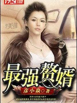 十大都市小说排行榜之最强赘婿