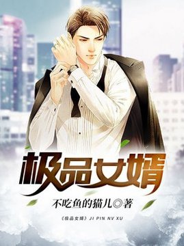 十大都市小说排行榜之极品女婿