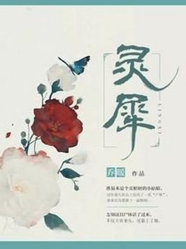 十大幻想言情小说排行榜之灵犀