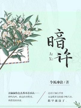 十大青春小说排行榜之暗许