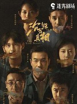 十大悬疑电视剧排行榜之沉默的真相