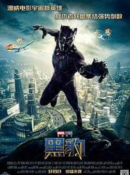 十大动作电影排行榜之黑豹