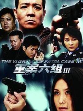 十大犯罪电视剧排行榜之重案六组第三部