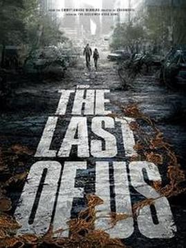 十大动作电视剧排行榜之最后生还者