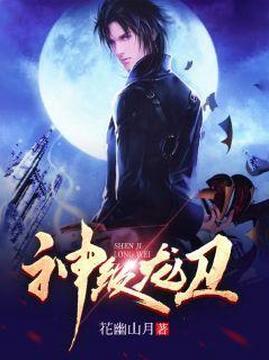 十大都市小说排行榜之神级龙卫