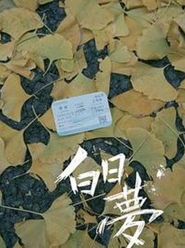 十大中国大陆电影排行榜之白日梦