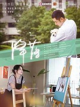 十大中国大陆电影排行榜之降落