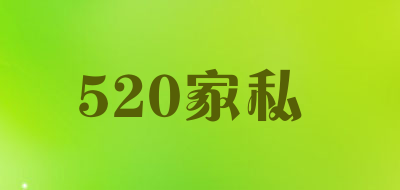 520家私品牌LOGO图片