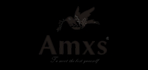 amxs/艾慕斯品牌LOGO图片