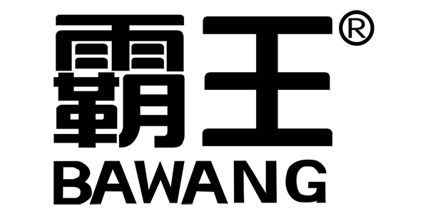 霸王品牌LOGO图片