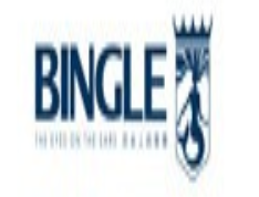 Bingle/宾果品牌LOGO
