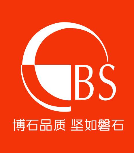 bs数码配件LOGO