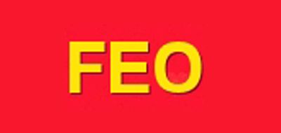 FEOLOGO