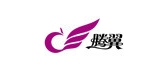 腾翼品牌LOGO图片