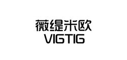 vigtig/服饰LOGO