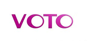 Voto/维图品牌LOGO图片