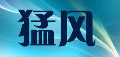 FIERCE WIND/猛风品牌LOGO图片