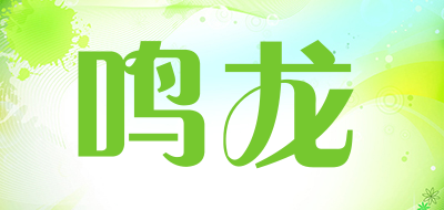 鸣龙品牌LOGO图片