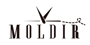 moldir品牌LOGO图片