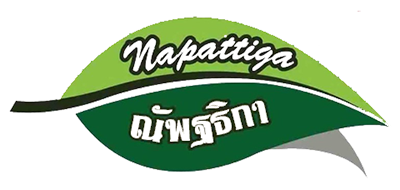 Napattiga/娜帕蒂卡品牌LOGO图片