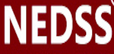 NEDSS/耐达斯LOGO