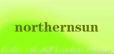 northernsun品牌LOGO图片