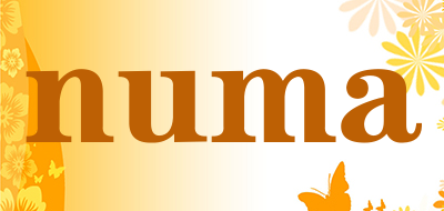 numa品牌LOGO图片