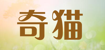 奇猫品牌LOGO图片