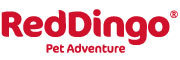 RedDingo/瑞鼎狗品牌LOGO图片