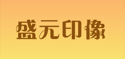 盛元印像品牌LOGO图片