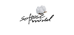 softestworld品牌LOGO图片
