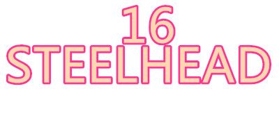 STEELHEAD16LOGO