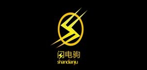 闪电驹LOGO