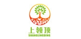 上领顶水果LOGO