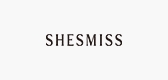 shesmiss/服饰品牌LOGO图片