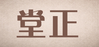 堂正品牌LOGO图片