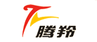 腾羚品牌LOGO图片